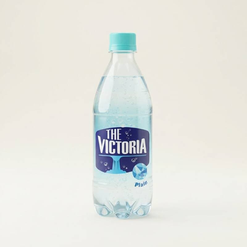 더 빅토리아 플레인 500ml 20개