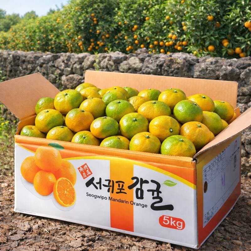 제주 서귀포 감귤 12brix 5kg