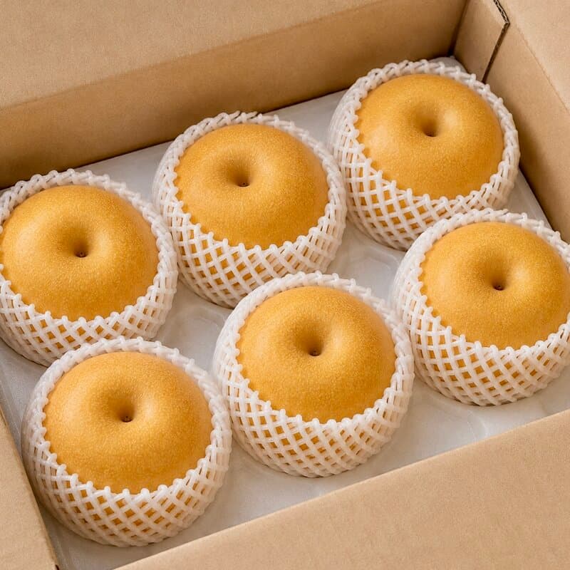 프로프룻 국내산 햇배 대과 5kg