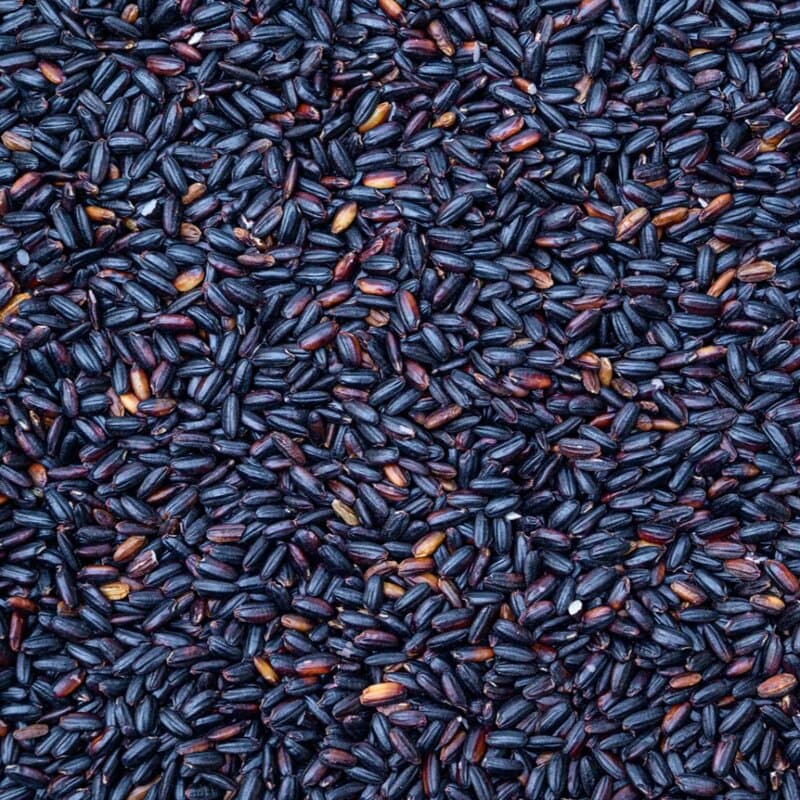 국내산 찰흑미 500g 2봉