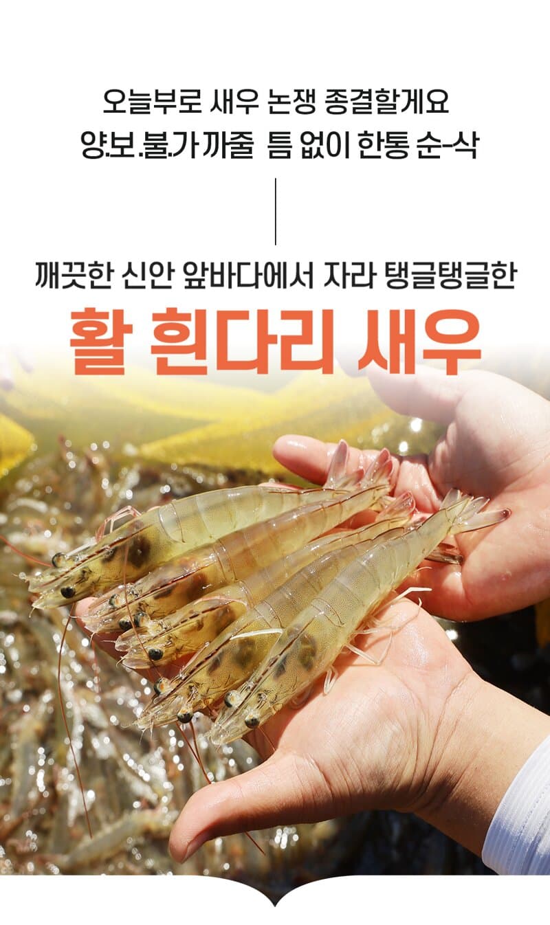 신안 활 흰다리새우 1kg
