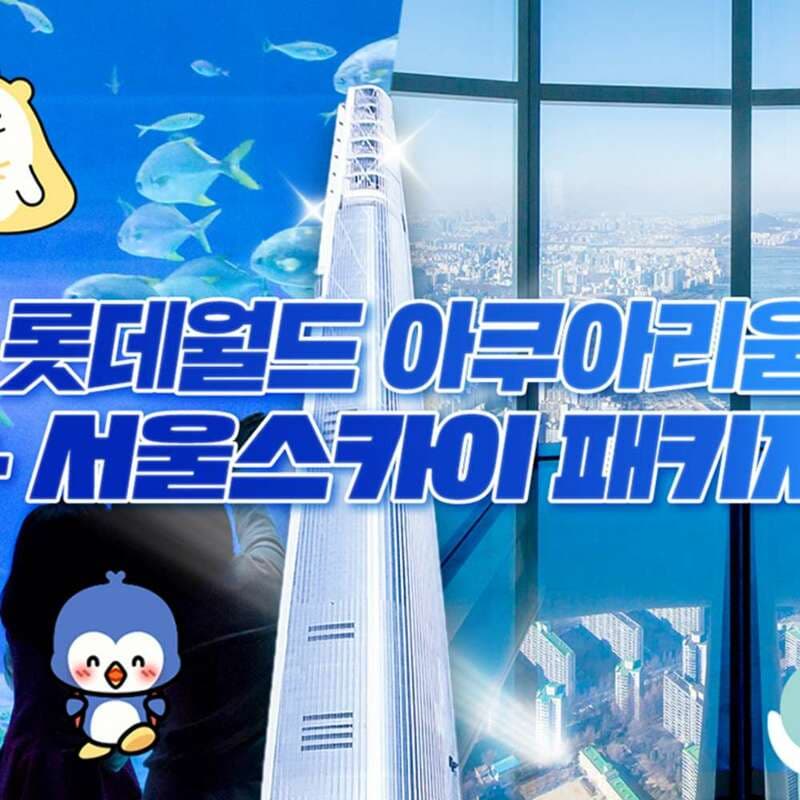 서울스카이 1인권