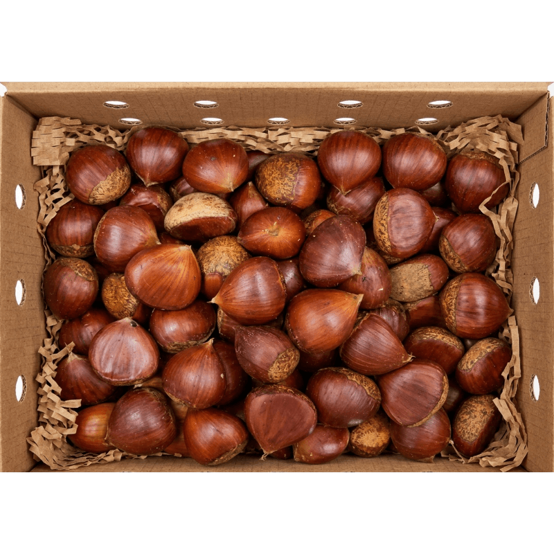 햇 공주밤 특품 5kg 1박스
