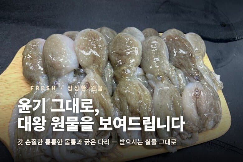 선동 활 쭈꾸미 1kg 1박스