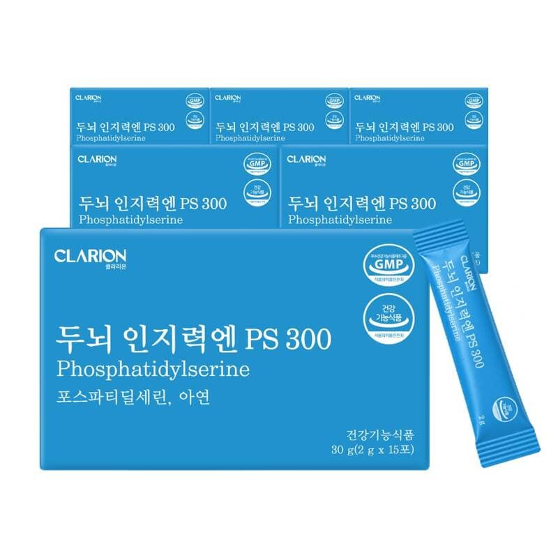 클라리온 두뇌 인지력엔 PS 300