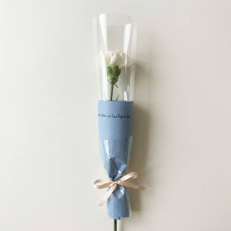 연한색 소국 생화 한송이