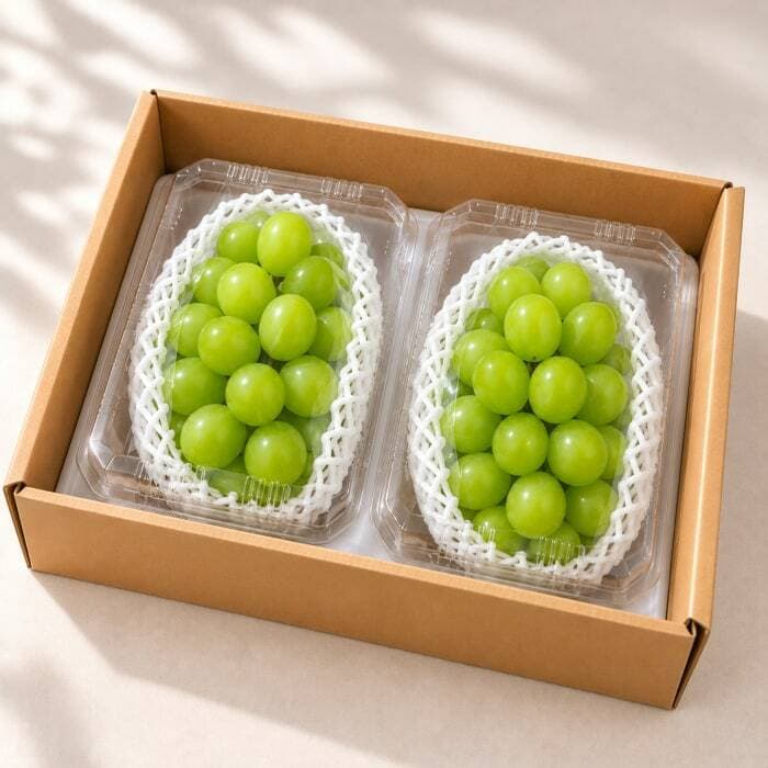 산들곳간 샤인머스켓 2kg