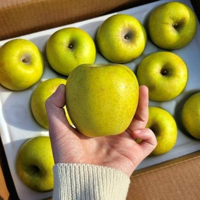 산들곳간 시나노골드 못난이 사과 5kg