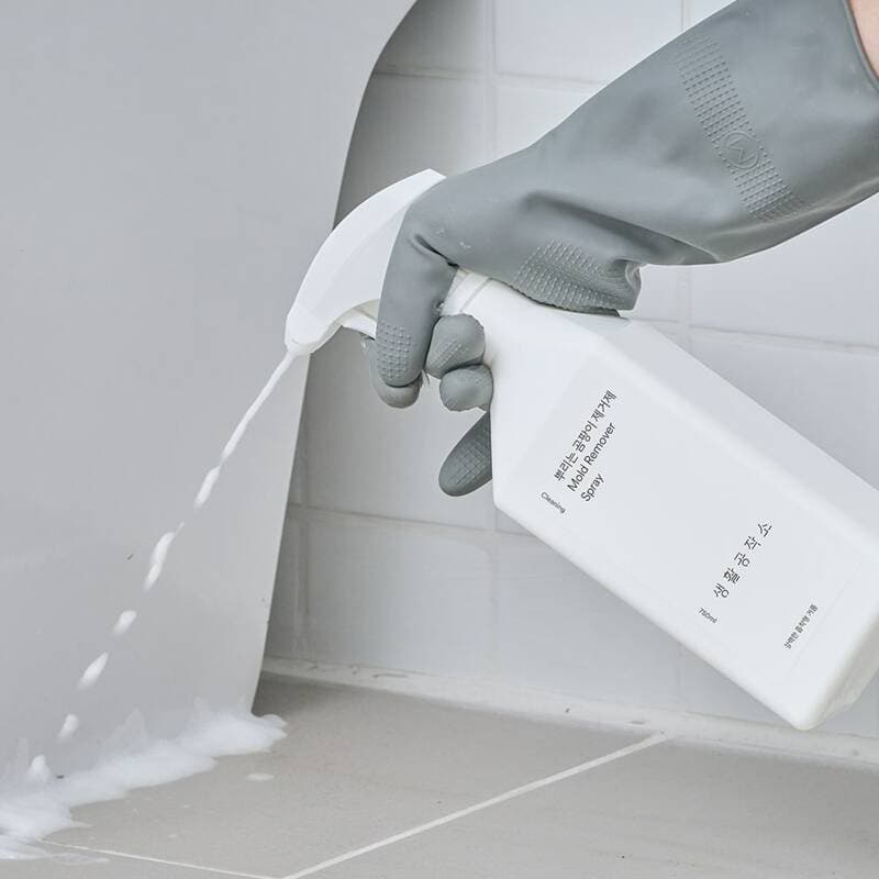 생활공작소 곰팡이 제거제 750ml