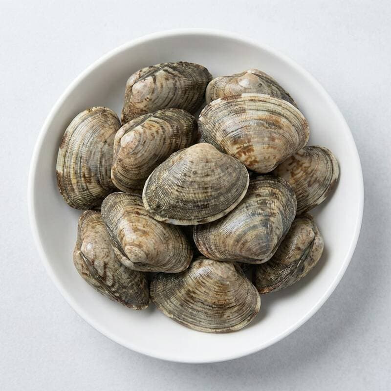 이백호 대왕 바지락 3kg