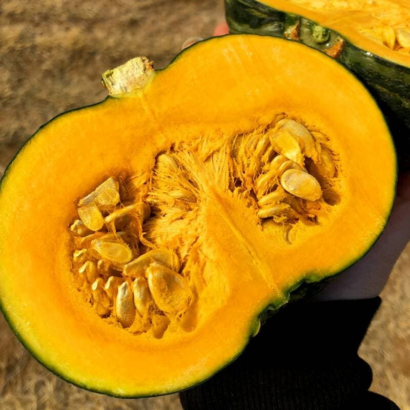Domestic Misshapen Kabocha Squash S 10kg Box