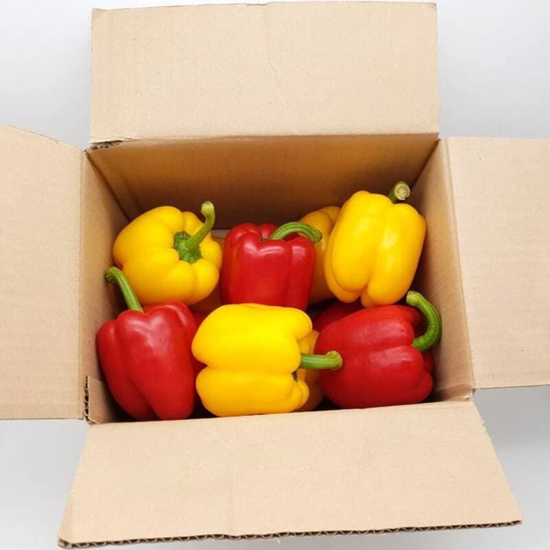 의령농산 못난이 파프리카 1kg