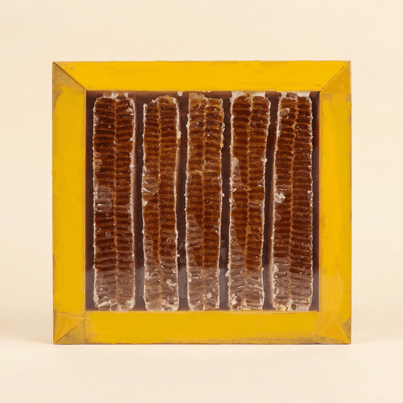 달콤허니 벌집꿀 2kg
