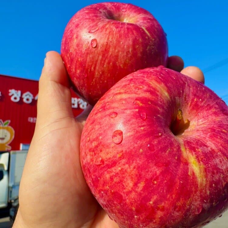 청송 홍로 사과 3kg