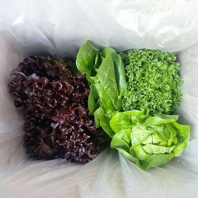 유러피안샐러드 1kg