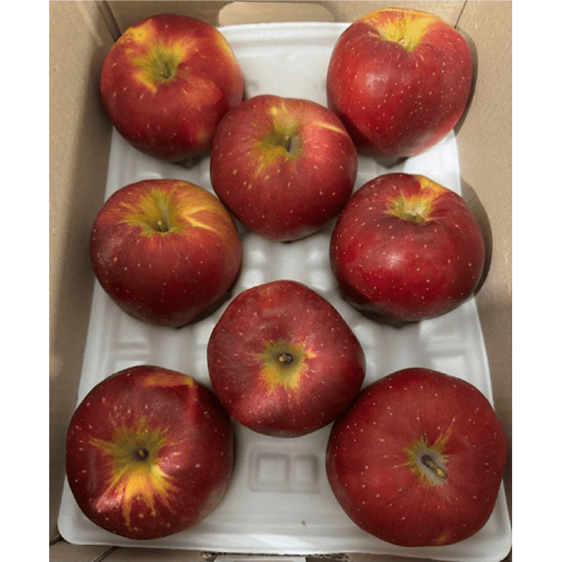 엔부사과 피치애플 2kg 1박스