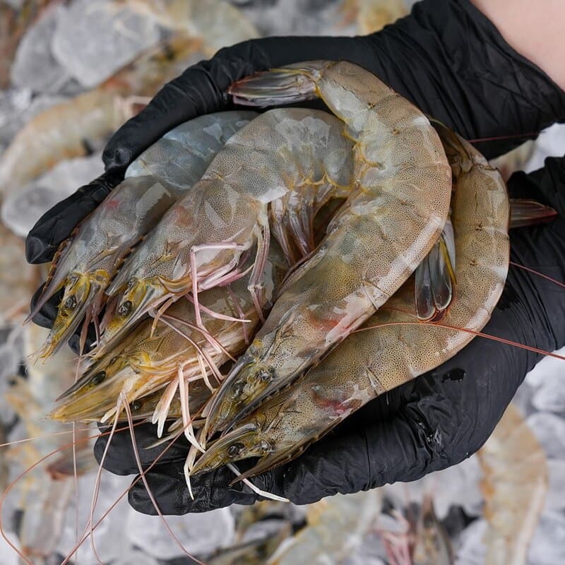 그대의밥상 흰다리새우 38미 1kg