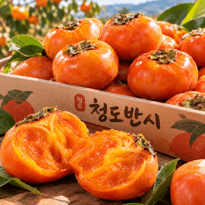 청도반시 5kg 1박스