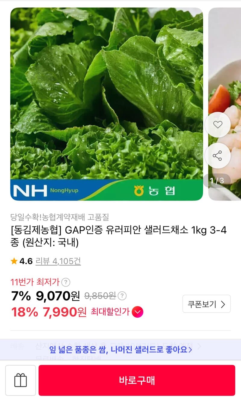 유러피안 샐러드채소 1kg