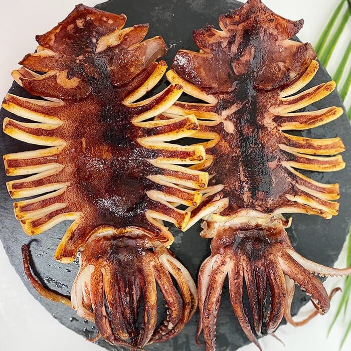 반건조 오징어 1kg 10마리