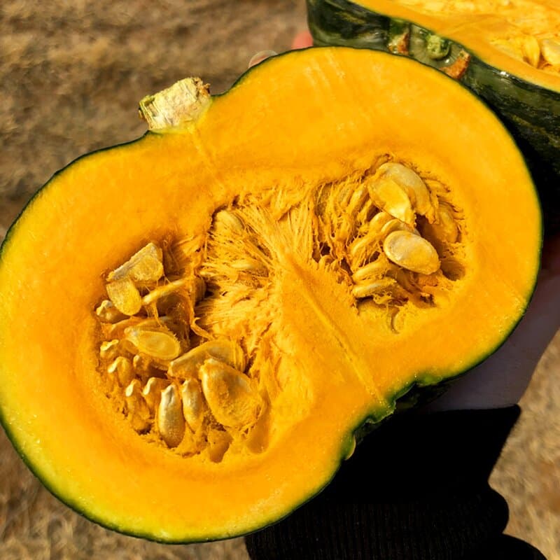 Korean Misshapen Sweet Pumpkin 10kg Box