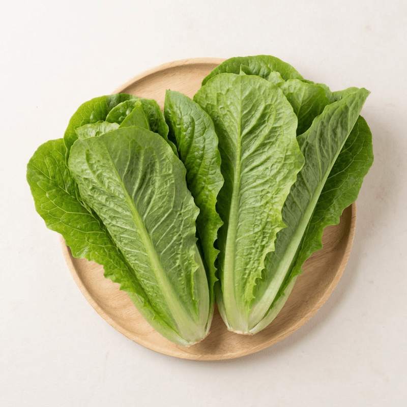 투뿔농부 로메인 상추 2kg