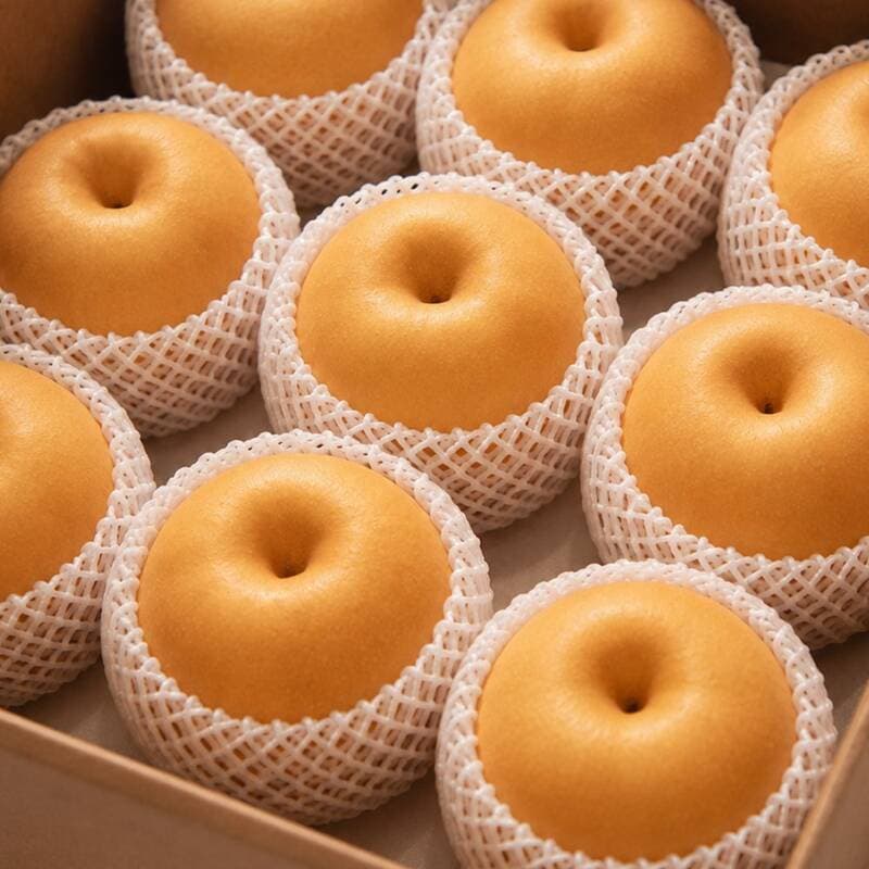 나주배 10kg 1박스