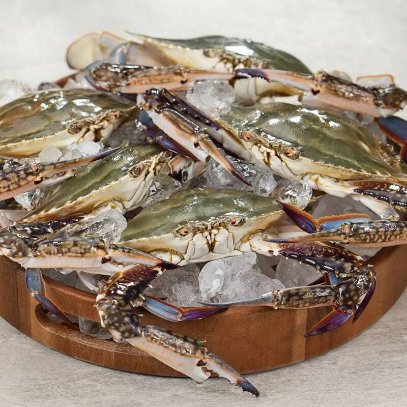 서해안 생물 활숫꽃게 2kg