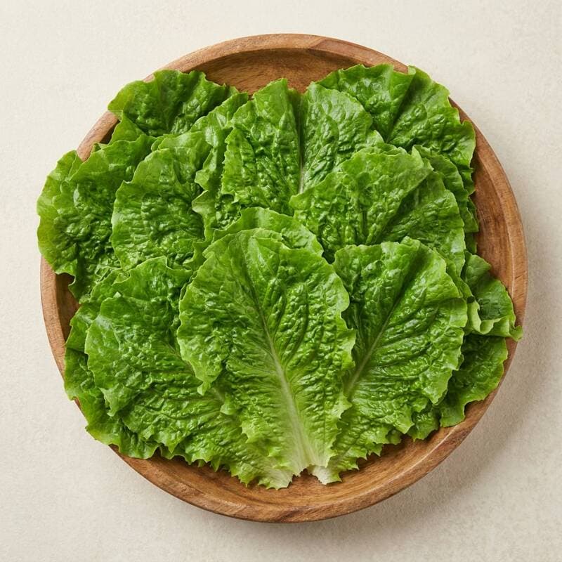 푸드빌리지 청상추 2kg