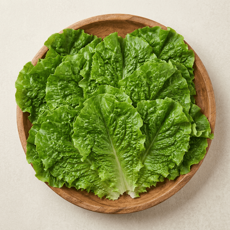 푸드빌리지 청상추 2kg