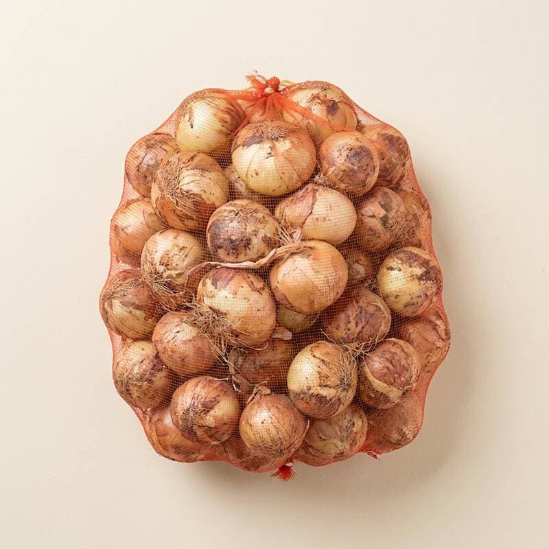 또치네농산 국내산 양파 5kg