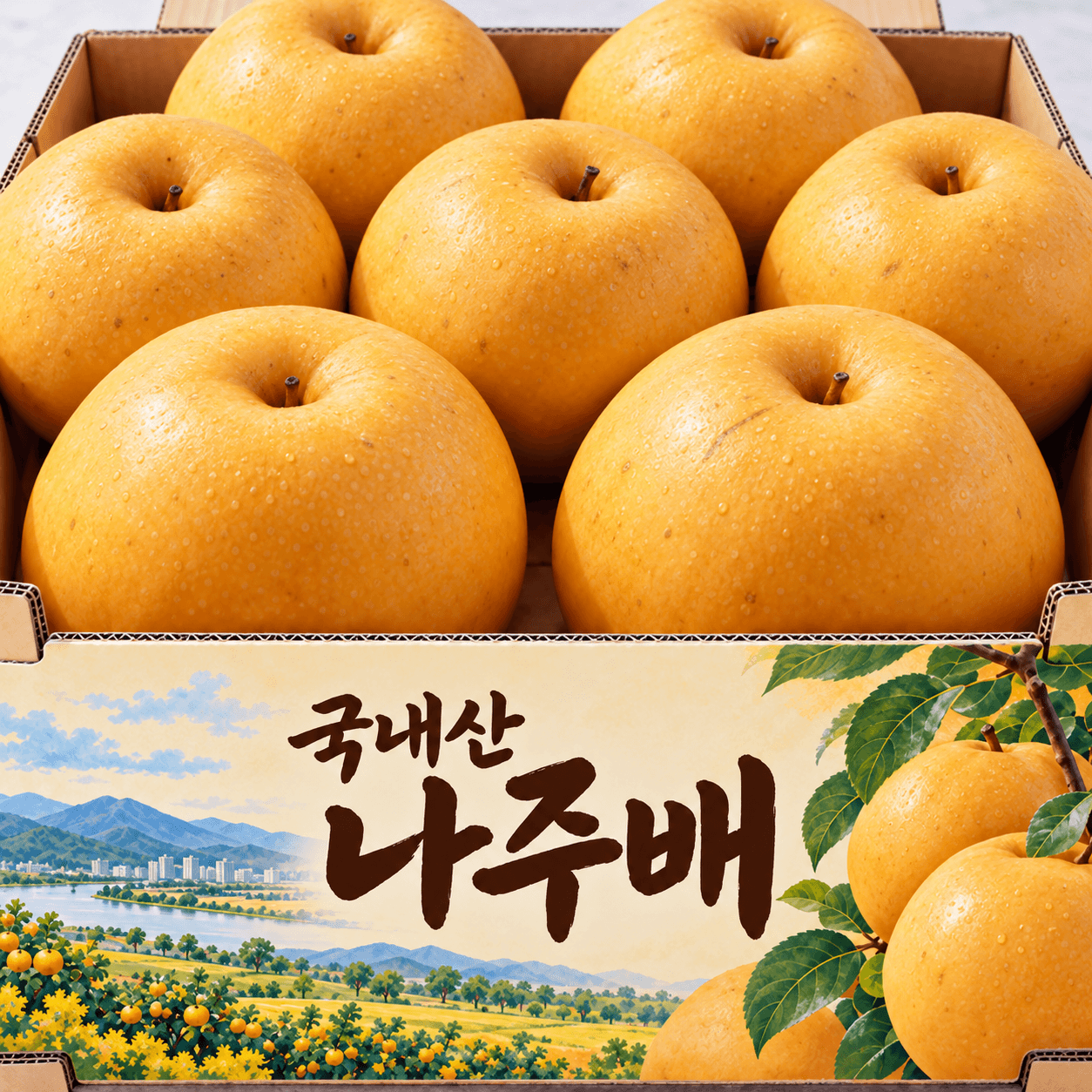 국내산 햇 나주배 5kg