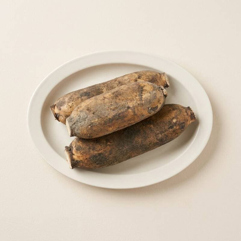 새벽 수확 햇 연근 특 2kg