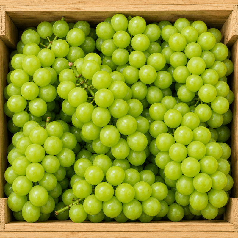 Shine Muscat Grapes 3kg, 1 Unit