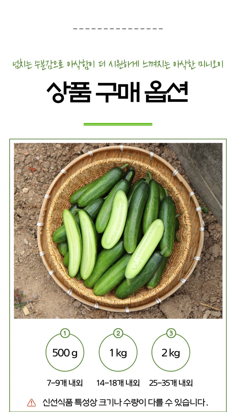 Nongsanmuru Mini Cucumber 2kg