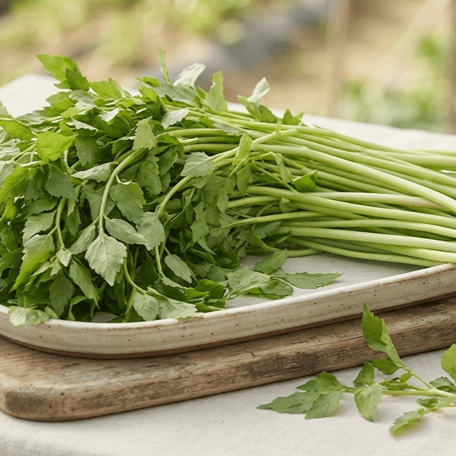 Dolminari Korean Water Dropwort 1kg