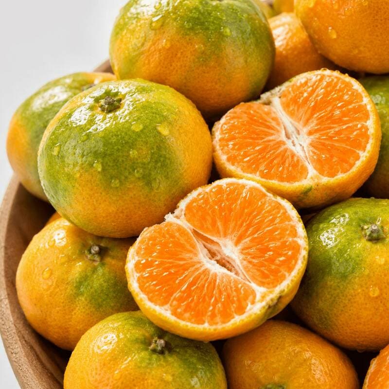 Jeonghwanae Hyodon Extra-Early Citrus 5kg