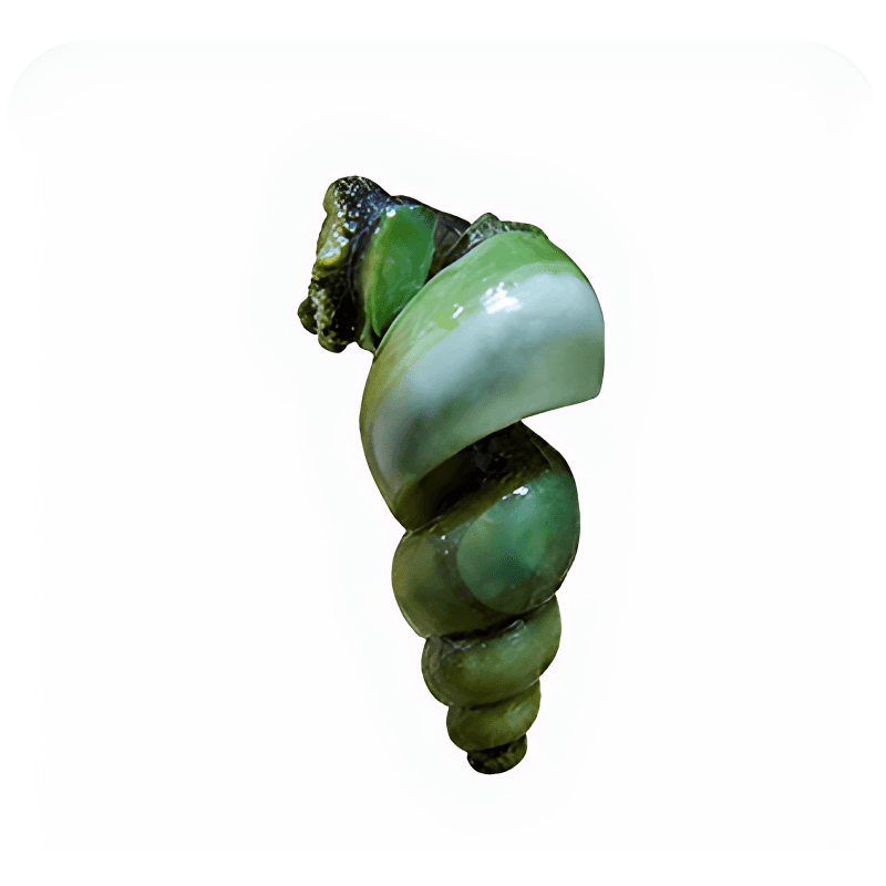 Pot-Boiled Shelled Freshwater Snails 200g x 5