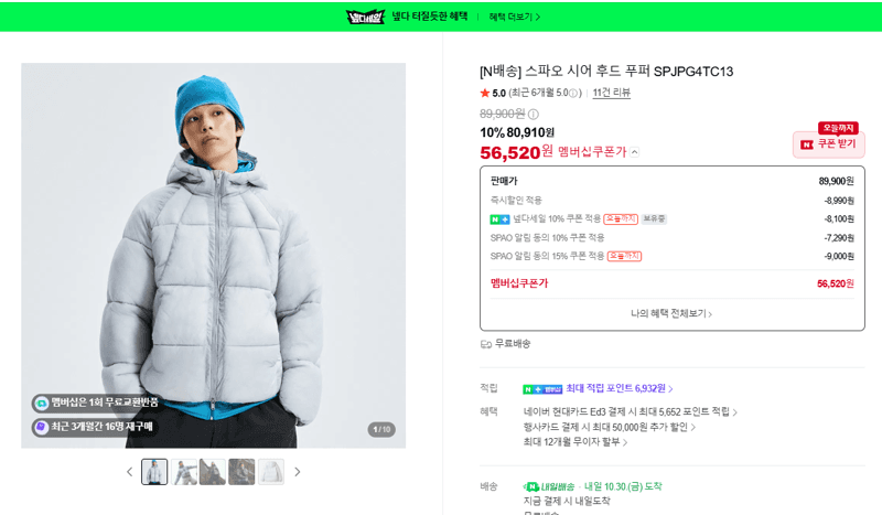 SPAO Sheer Hood Puffer SPJPG4TC13
