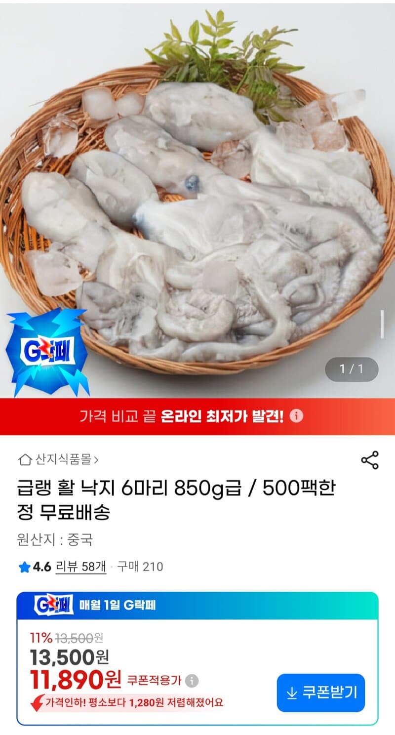 급랭 활 낙지 6마리 850g급