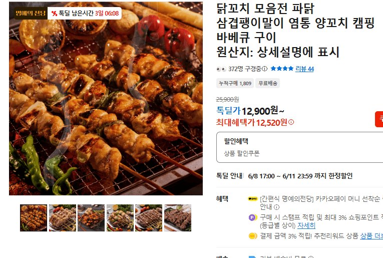 닭꼬치 모음전 캠핑 바베큐