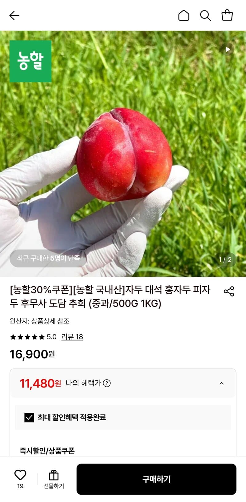대석 자두 1kg