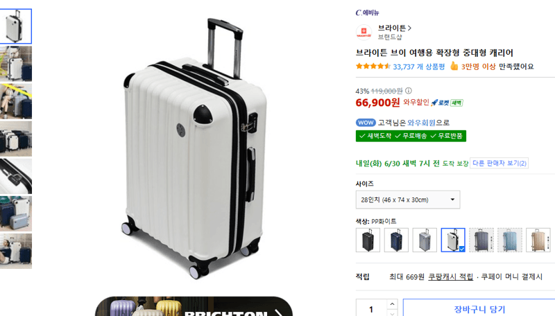 브라이튼 브이 캐리어 28인치