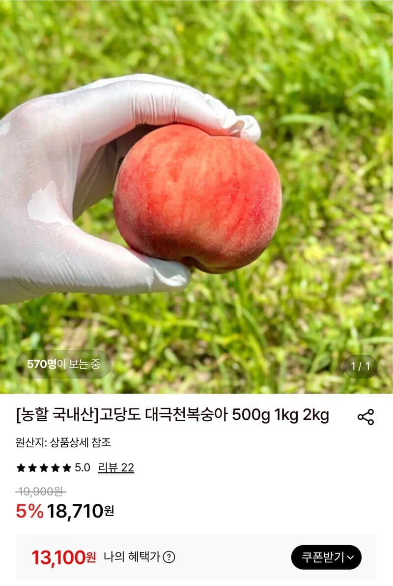 대극천복숭아 1kg (7~11과