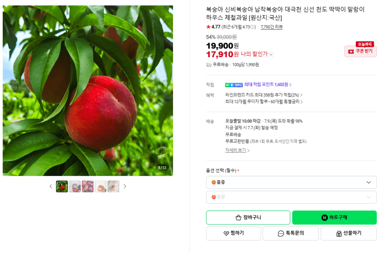하우스 복숭아 제철과일