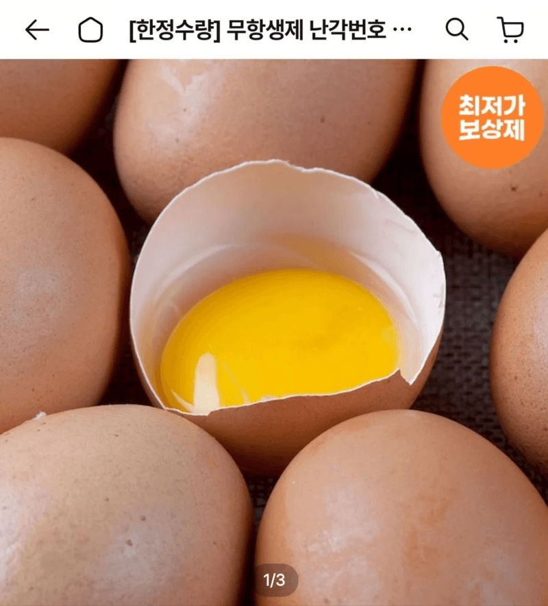 무항생제 유정란 40구