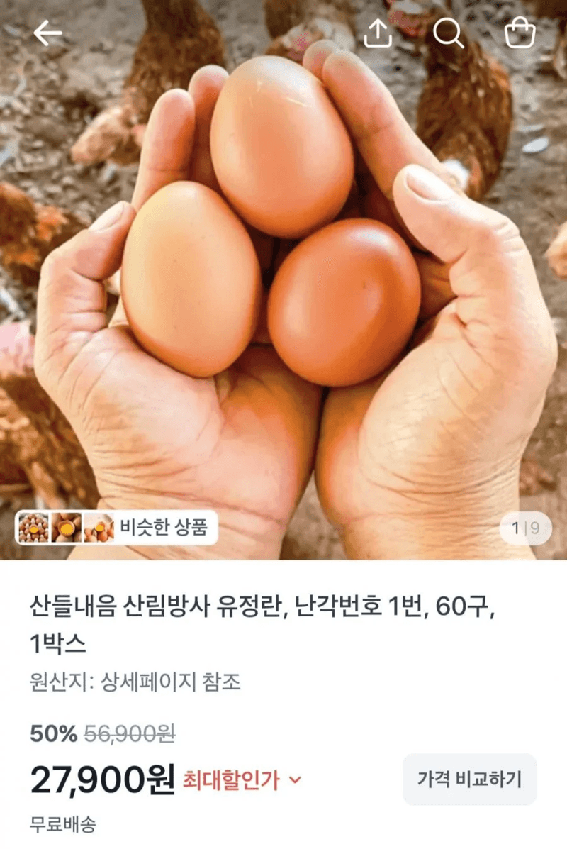 산림방사 유정란 (난각번호 1번, 60구)
