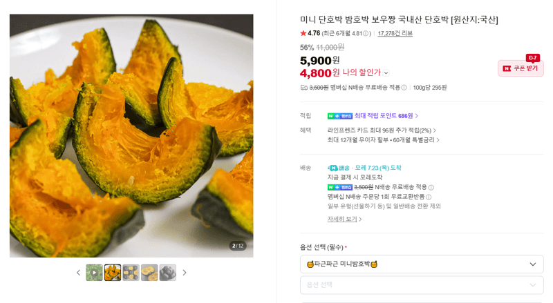 보우짱 미니 단호박