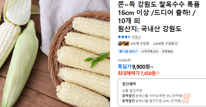 강원도 찰옥수수 16cm 이상