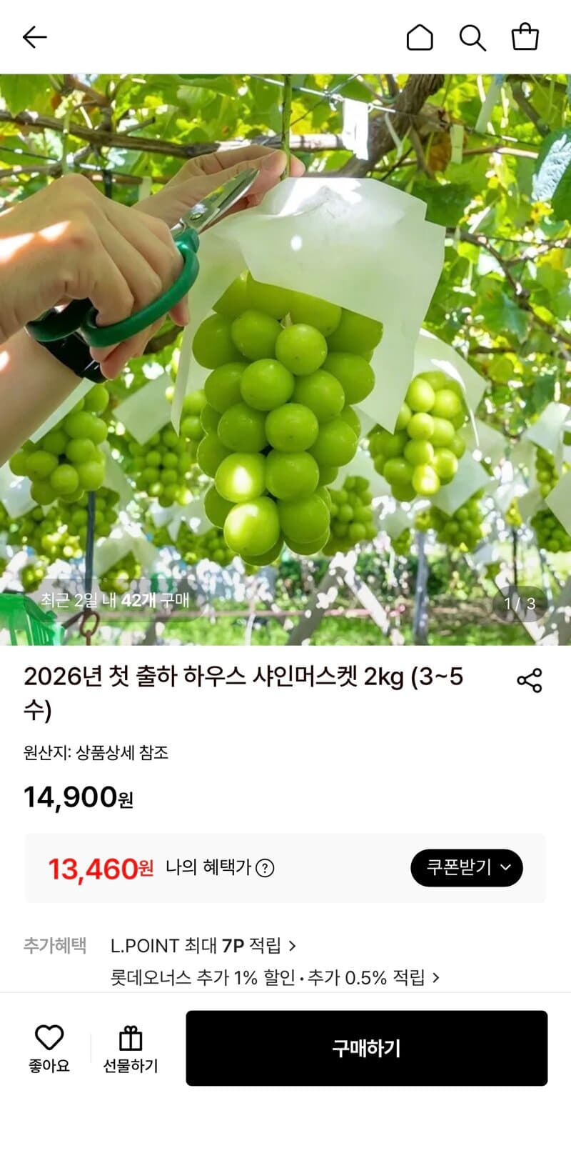 하우스 샤인머스켓 2kg